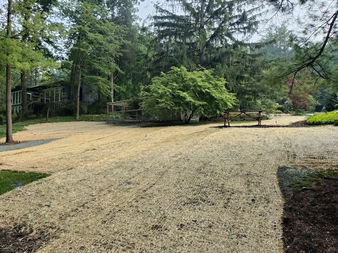New Lawn Installation with Seed and Straw