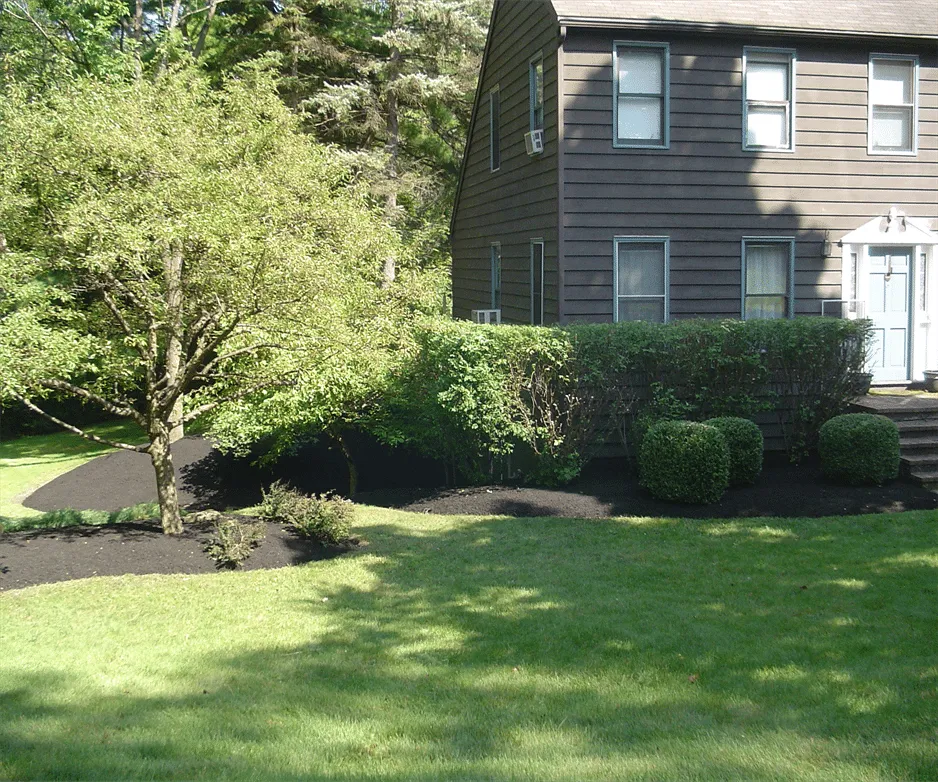 GrassMasters Landscaping Lawn Maintenance Services are unmatched