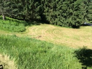 Grassmasters Landscaping Brush Hogging Project