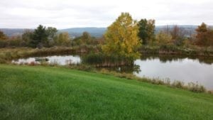 Grassmaster Landscaping Pond Project