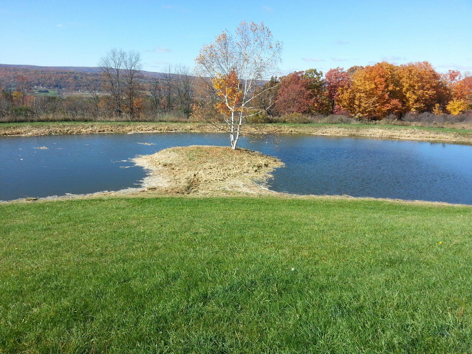 Grassmaster Landscaping Pond Project