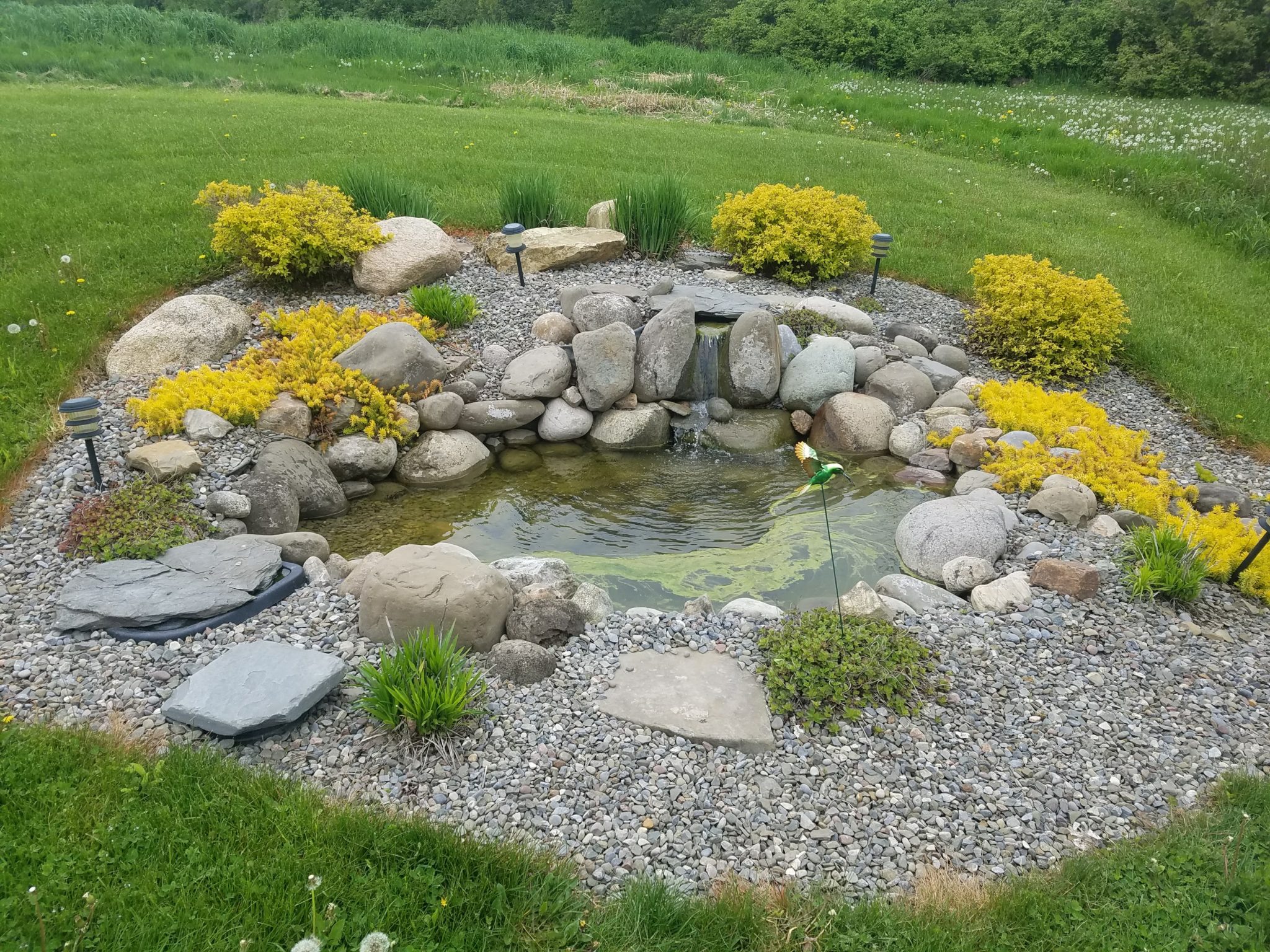 GrassMasters Landscaping Pond Project