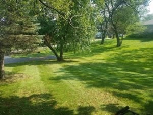 Grassmaster Landscaping Lawn Maintenance Projects