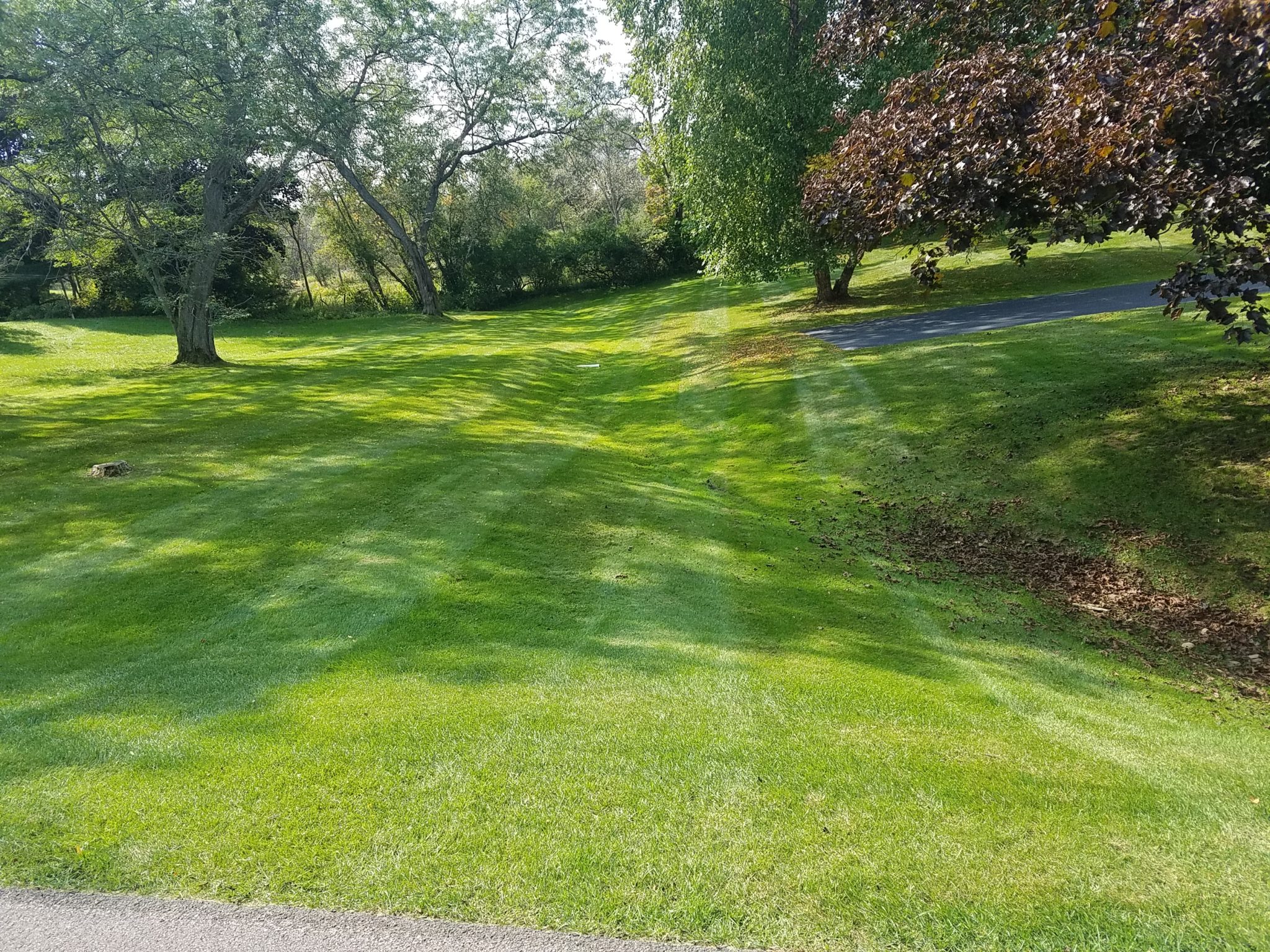 Grassmaster Landscaping Lawn Maintenance Projects