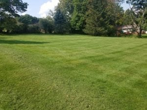 Grassmaster Landscaping Lawn Maintenance Projects