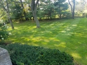 Grassmaster Landscaping Lawn Maintenance Projects