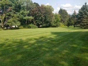 Grassmaster Landscaping Lawn Maintenance Projects