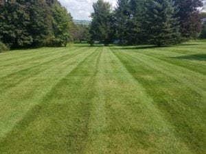 Grassmaster Landscaping Lawn Maintenance Projects