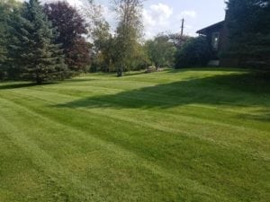 Grassmaster Landscaping Lawn Maintenance Projects