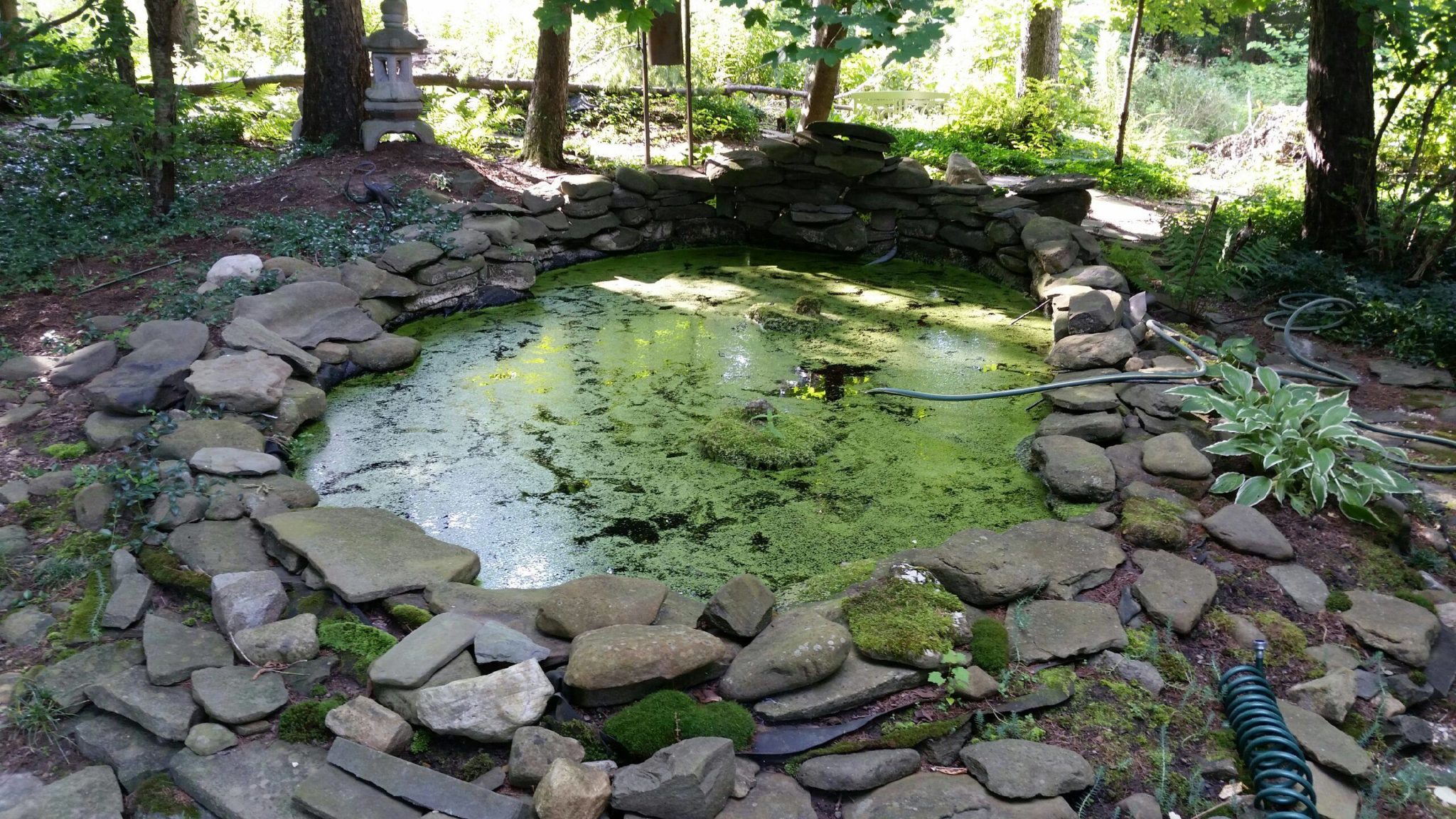 Grassmaster Landscaping Pond Project