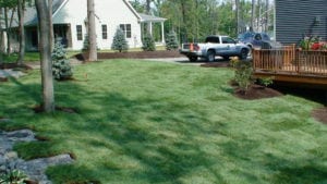 Grassmasters Landscaping New Lawn Installation 1