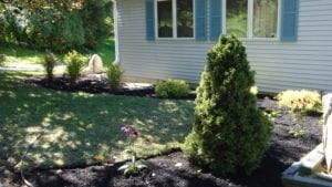 Grassmasters Landscaping Mulching Project 3