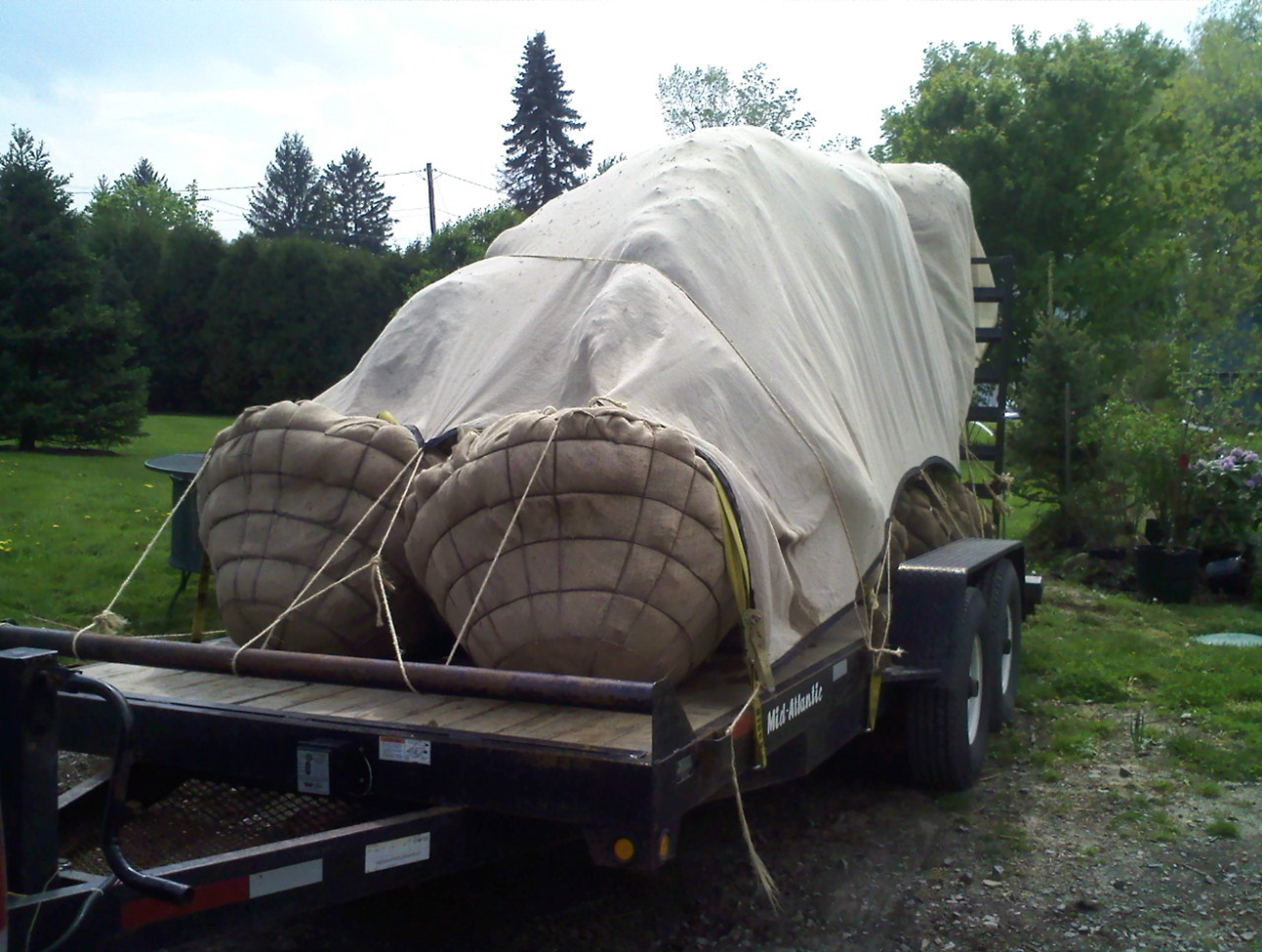 Hauling-Large-Trees