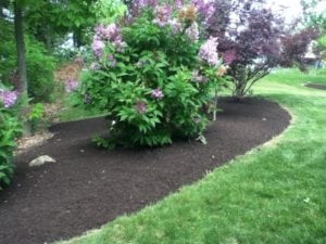 Grassmasters Landscaping Mulching Project 6