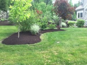 Grassmasters Landscaping Mulching Project 10