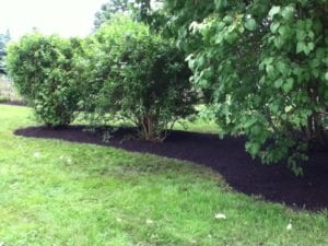 Grassmasters Landscaping Mulching Project 17