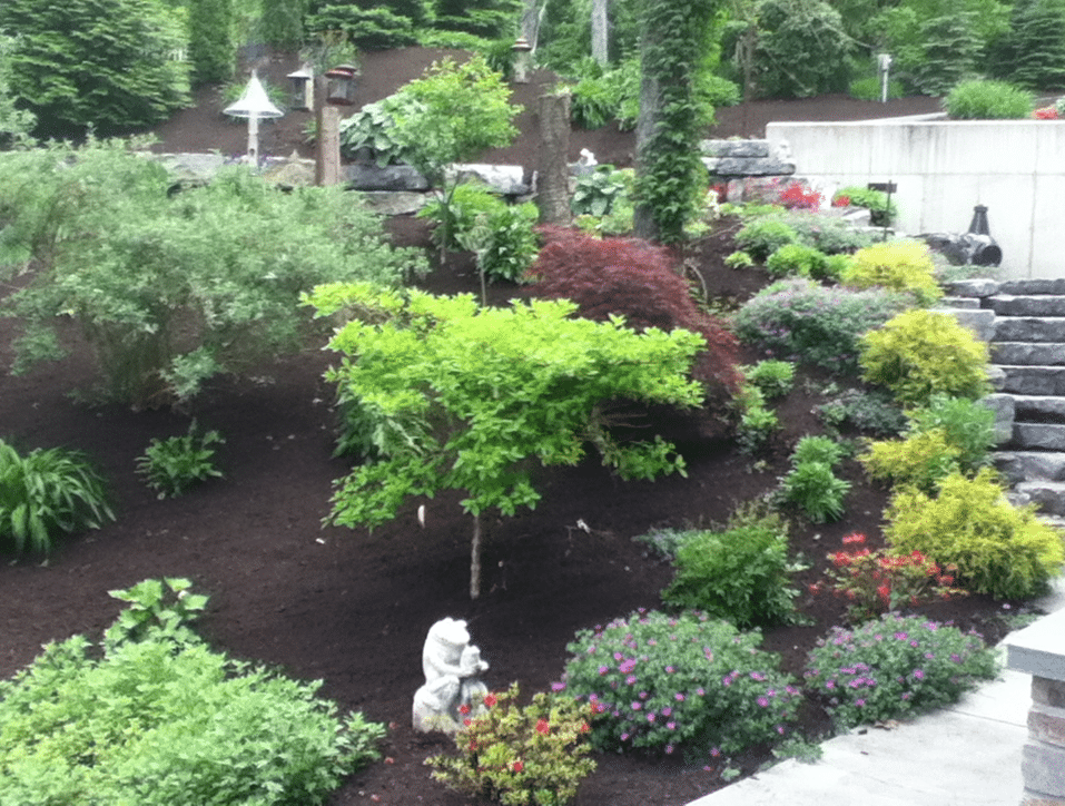 Mulching-2 Mulching-2