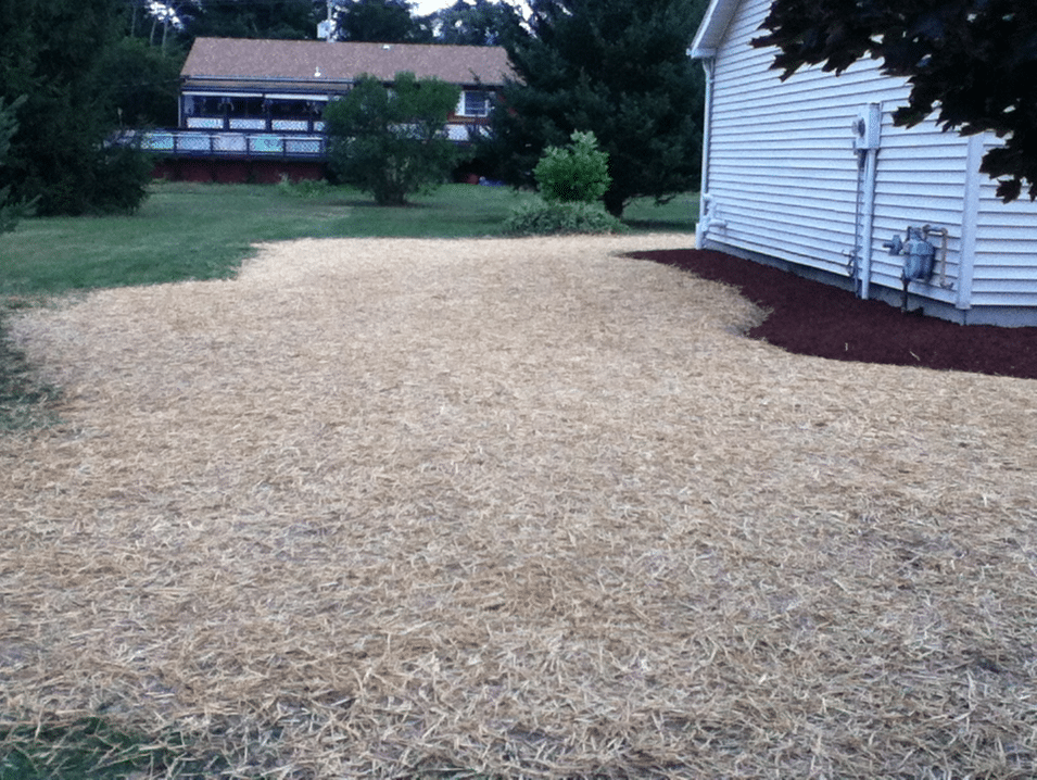 New-Lawn-Installation-Seed-and-Straw New-Lawn-Installation-Seed-and-Straw