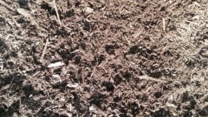 Saddle Brown Mulch GrassMasters Landscaping