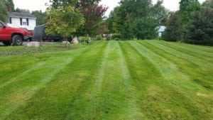 GrassMasters Landscaping Lawn Maintenance