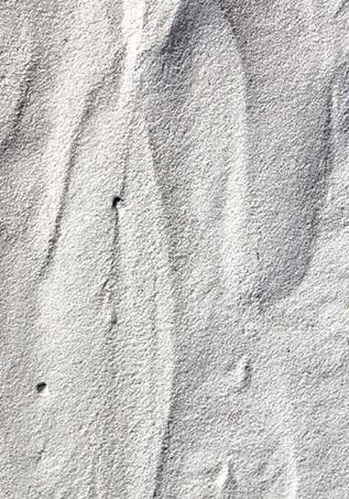 Washed Masonry Sand At GrassMasters Landscaping